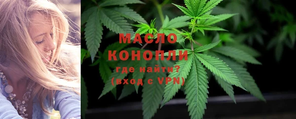 сатива Богородицк
