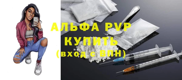 сатива Богородицк