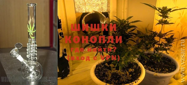 стаф Богородск