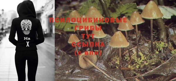 стаф Богородск