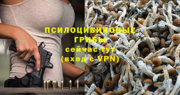 стаф Богородск
