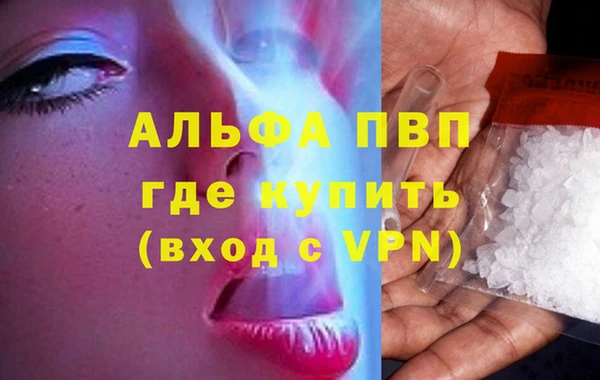 сатива Богородицк